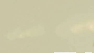 Michel Brown es "Falco" / Foto: Telemundo