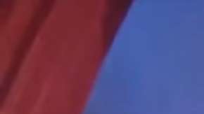 Varios oficiales recorrieron la casa en busca del sospechoso.