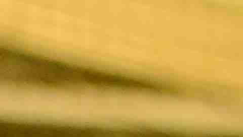 El jugador de 19 años Gerardo Gómez lleva ya una semana entrenando con el equipo de segunda división del América. (Javier Quiroz / La Raza)