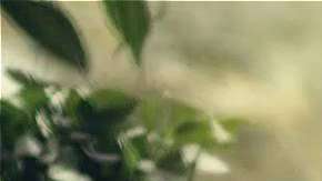 Francisco 'Gallo' Elizalde.