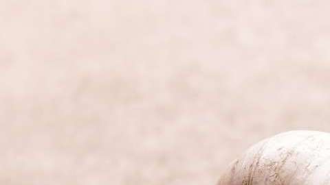 El ajo tiene muchas propiedades curativas.