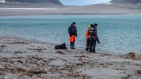 Así quedó el cuerpo de animal.