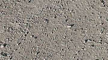 La Oficina de De Blasio niega esta acusación y asegura que tuvo la aprobación de las autoridades fronterizas