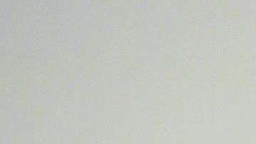 No solo se permitiría votar a inmigrantes con Green Card sino a titulares de visas, TPS o DACA