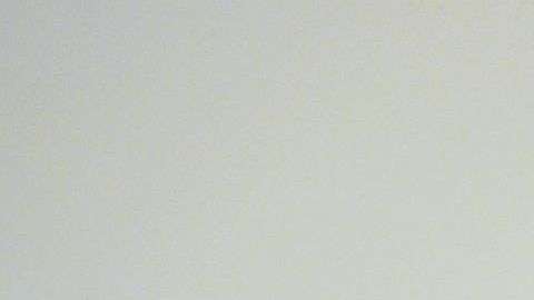 No solo se permitiría votar a inmigrantes con Green Card sino a titulares de visas, TPS o DACA