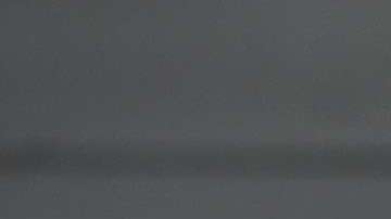 La orden ejecutiva del presidente Trump desató movilizaciones de activistas.