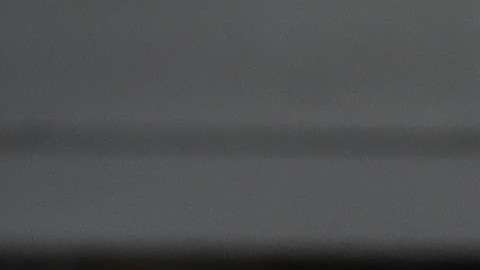 La orden ejecutiva del presidente Trump desató movilizaciones de activistas.