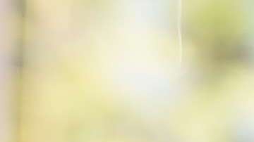 Eric Trump vive en Nueva York.