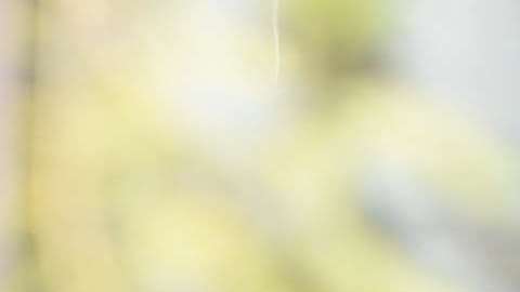 Eric Trump vive en Nueva York.