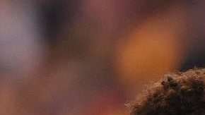 El brasileño Taison Freda vivió horas de angustia.  (Foto: Michael Dodge/Getty Images for ICC)