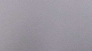 Un gusano marino en el microscopio.