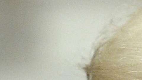 El abogado que representa a Cohen, Lanny Davis, dijo que las cintas "hablan por sí solas"