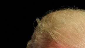 El gobierno Trump ha tratado de recortar los derechos de la comunidad LGBTQ