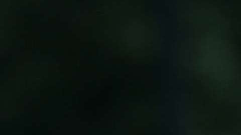 Melania Trump ha ganado más de $100,000 dólares por fotografías.