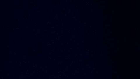 El presidente Donald Trump.