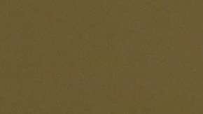 Los oficiales de USCIS aplicarán la decisión "discrecionalmente".