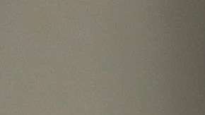 Expertos sugieren a inmigrantes aplicar por la ciudadanía.