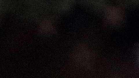 Manifestantes recibieron a la hija de Trump con pancartas acusándola de ser cómplice de su padre