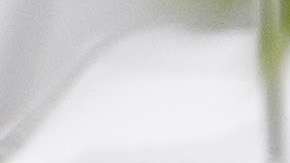 El presidente Trump ahora tiene como chofer a personal del Servicio Secreto.