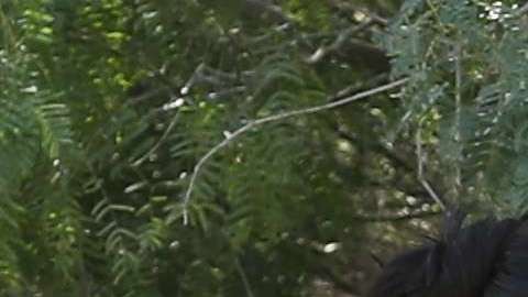 Una jueza en Los Angeles evaluará si debe nombrar un monitor independiente para vigilar las condiciones de detencion de las familias migrantes