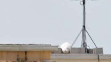 Centro de detención temporal para niños no acompañados en Homestead, Florida.