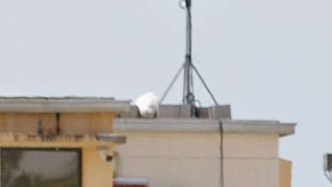 Centro de detención temporal para niños no acompañados en Homestead, Florida.