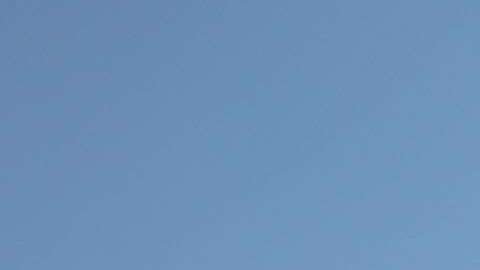 Activistas protestan por la separación de familias inmigrantes en Texas.