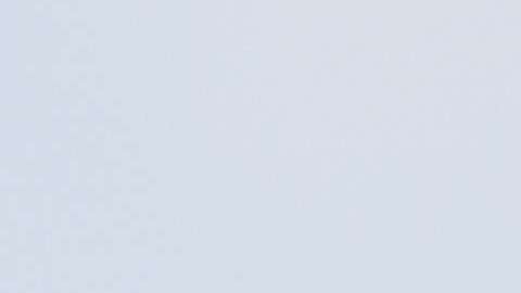 El 21 de junio, Melania Trump visitó un centro de retención de niños en la frontera sur.