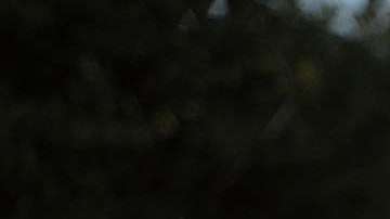 Una vigilia de oración frente a Casa Padre, un centro para niños inmigrantes en Texas.