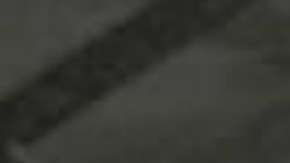 Trump dijo que la solución al problema es que no vanga ilegalmenta a EEUU