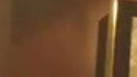 Trump defendió a Putin de las acusaciones de haber interferido en las elecciones de 2016