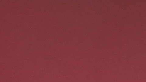 La FIFA se encargará de repartir dinero a los clubes que prestaron jugadores para el Mundial