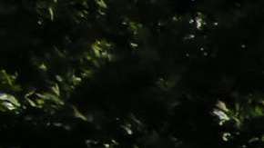 Miles piden que no se separe más a las familias de inmigrantes en EEUU.