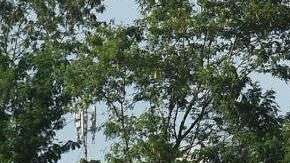 Se intensifican las tareas de rescate.