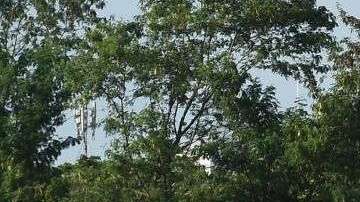 Se intensifican las tareas de rescate.