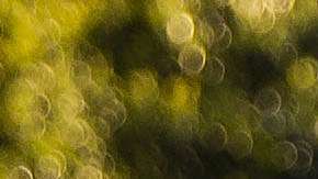 La primera dama Melania Trump y el presidente Trump al salir de la Casa Blanca.