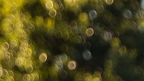 La primera dama Melania Trump y el presidente Trump al salir de la Casa Blanca.