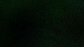 La primera dama se volvió a robar todas las miradas por su atuendo