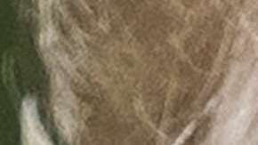 Los británicos le dejaron saber a Trupm que no es bienvenido en su país