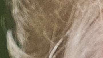 Trump adelanta una dura campaña de desprestigio contra la investigación de la "Trama Rusa"