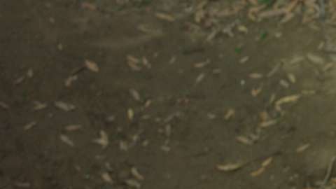 Escena de "Guardians of the Galaxy 2".