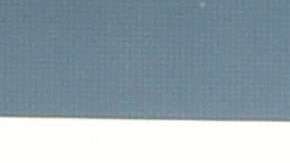 En la imagen los duques de Sussex.