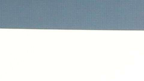 En la imagen los duques de Sussex.