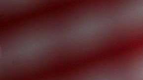 La carne de burro, chivo y búfalo fue usada para fabricar productos como salchichas, que fueron etiquetadas como de “res”.