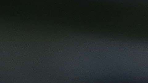 Tite, director técnico de la selección de Brasil