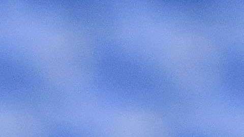 Héctor Herrera recibió una oferta formal del Fulham de la Premier League