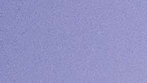 A Xolos Tijuana no le va bien en el arranque de los torneos del fútbol mexicano