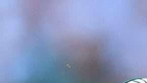 Javier Hernández no tuvo una buena Copa del Mundo en Rusia 2018 con el Tri. (Foto: Imago7/Agustín Cuevas)