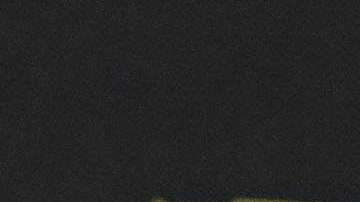 Marcelo Leaño  director técnico de Necaxa. Imago7/ Etzel Espinosa