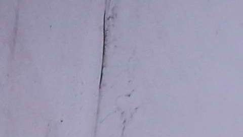 Ricardo Ferretti, técnico de Tigres, escucharía ofertas para dirigir al Tri sólo si lo corren